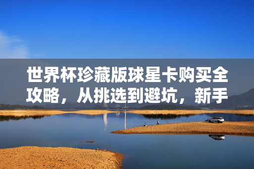 世界杯珍藏版球星卡购买全攻略，从挑选到避坑，新手也能轻松入门，世界杯球星卡购买新手全攻略，从挑选到避坑入门