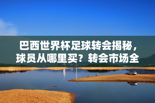 巴西世界杯足球转会揭秘，球员从哪里买？转会市场全解析，巴西世界杯转会揭秘，球员从哪里买，转会市场全解析