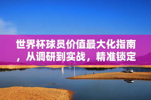 世界杯球员价值最大化指南,从调研到实战,精准锁定潜力股,世界杯球员价值最大化实战指南,从调研到精准锁定潜力股