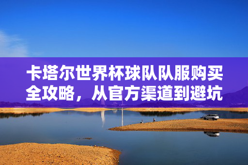 卡塔尔世界杯球队队服购买全攻略,从官方渠道到避坑指南,卡塔尔世界杯球队队服购买攻略,官方渠道与避坑指南