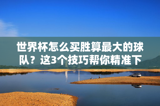 世界杯怎么买胜算最大的球队？这3个技巧帮你精准下注，视频教程一看就懂！世界杯精准选队，3个技巧视频教程，一看就懂！