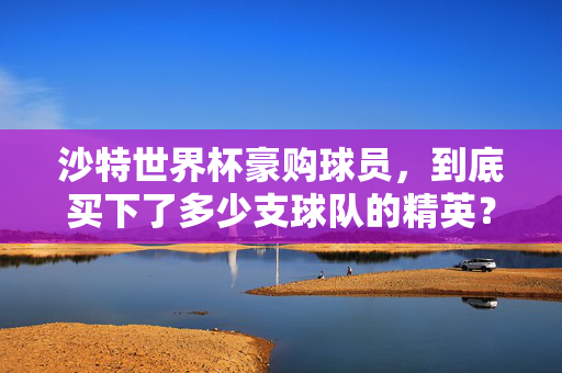 沙特世界杯豪购球员，到底买下了多少支球队的精英？沙特世界杯豪购，买下多少支球队的精英？