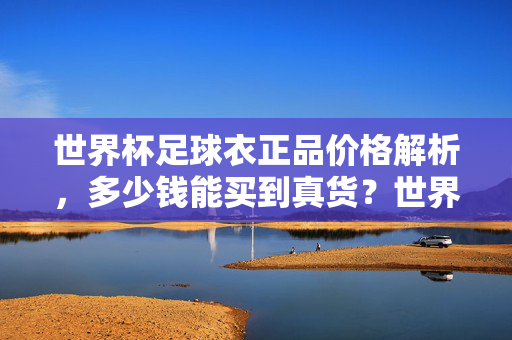 世界杯足球衣正品价格解析，多少钱能买到真货？世界杯足球衣正品价格解析，多少钱能买到真货？
