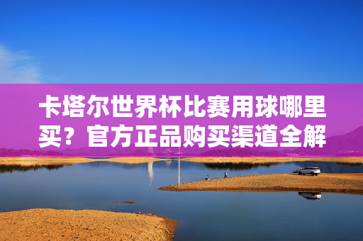 卡塔尔世界杯比赛用球哪里买?官方正品购买渠道全解析,卡塔尔世界杯比赛用球官方正品购买渠道全解析