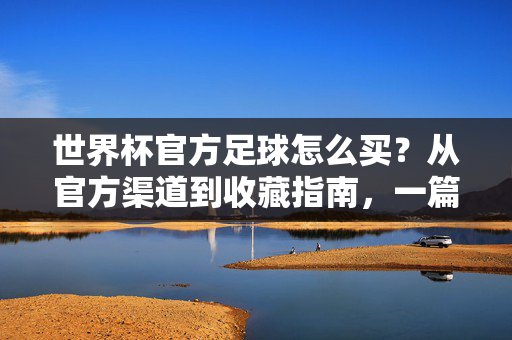 世界杯官方足球怎么买？从官方渠道到收藏指南，一篇搞定，世界杯官方足球购买与收藏全攻略
