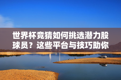 世界杯竞猜如何挑选潜力股球员？这些平台与技巧助你精准出击，世界杯竞猜潜力股球员挑选，平台技巧精准出击