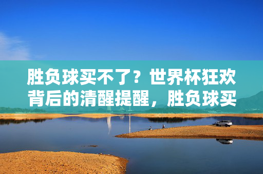 胜负球买不了？世界杯狂欢背后的清醒提醒，胜负球买不了？世界杯狂欢背后的清醒提醒