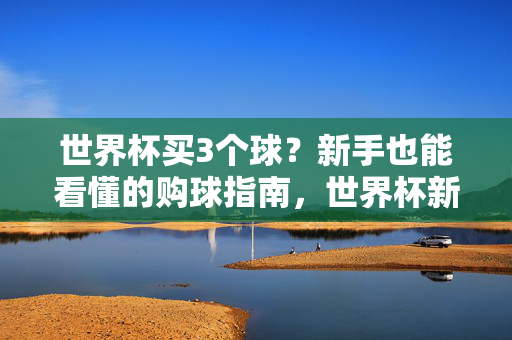 世界杯买3个球？新手也能看懂的购球指南，世界杯新手购球指南，3个球轻松入门