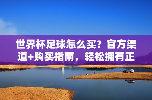 世界杯足球怎么买？官方渠道+购买指南，轻松拥有正品赛事同款，世界杯足球官方购买指南，正品赛事同款轻松入手