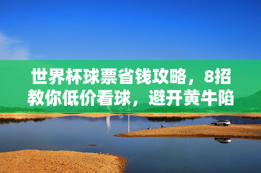 世界杯球票省钱攻略，8招教你低价看球，避开黄牛陷阱，世界杯球票省钱8招，低价看球避开黄牛陷阱
