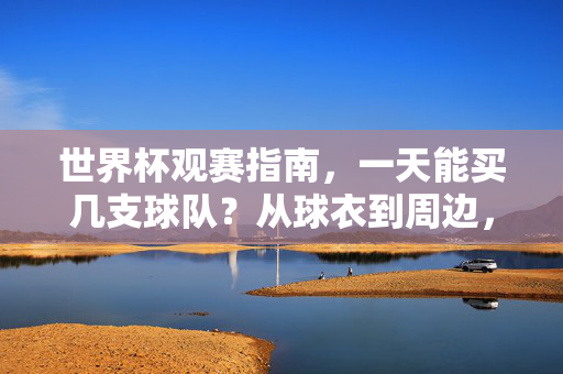 世界杯观赛指南,一天能买几支球队?从球衣到周边,球迷的仪式感清单,世界杯球迷仪式感指南,从球队支持到周边清单