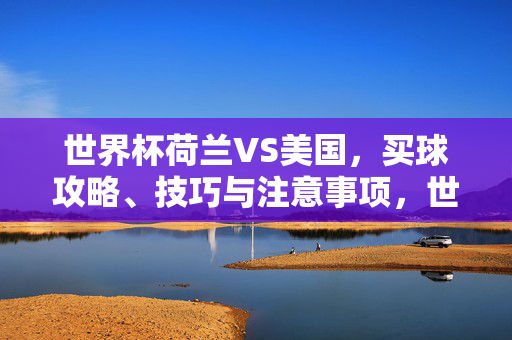 世界杯荷兰VS美国，买球攻略、技巧与注意事项，世界杯荷兰VS美国，买球攻略、技巧与注意事项