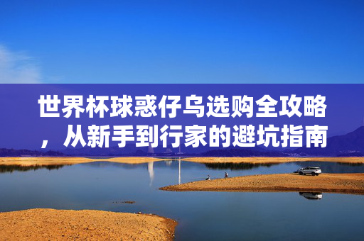 世界杯球惑仔乌选购全攻略，从新手到行家的避坑指南，世界杯球惑仔乌选购避坑全攻略，新手到行家指南