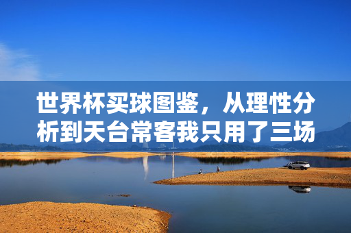 世界杯买球图鉴,从理性分析到天台常客我只用了三场球,世界杯买球图鉴,三场球,从理性分析到天台常客