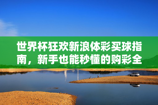 世界杯狂欢新浪体彩买球指南，新手也能秒懂的购彩全攻略，世界杯新手体彩指南，秒懂购球全攻略