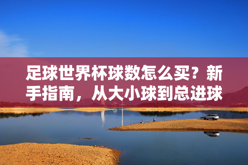 足球世界杯球数怎么买？新手指南，从大小球到总进球数，一篇读懂，足球世界杯球数购买新手指南，从大小球到总进球数一篇读懂
