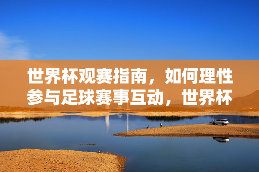 世界杯观赛指南，如何理性参与足球赛事互动，世界杯观赛，理性互动指南