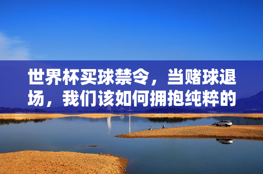 世界杯买球禁令,当赌球退场,我们该如何拥抱纯粹的足球狂欢?世界杯买球禁令,赌球退场,拥抱纯粹足球狂欢