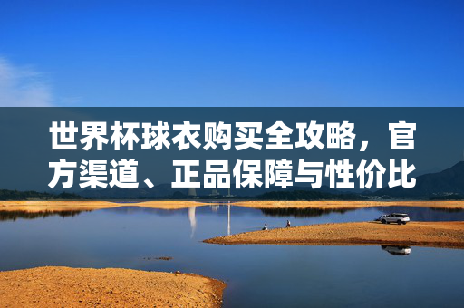 世界杯球衣购买全攻略,官方渠道、正品保障与性价比之选,世界杯球衣购买全攻略,官方正品高性价比之选