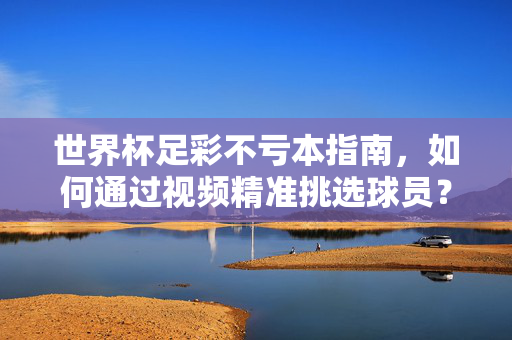 世界杯足彩不亏本指南,如何通过视频精准挑选球员?世界杯足彩不亏本指南,视频精准挑球员
