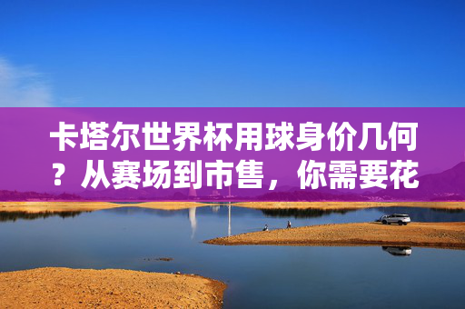 卡塔尔世界杯用球身价几何？从赛场到市售，你需要花多少钱拥有一颗？卡塔尔世界杯用球身价几何？市售需花多少钱？
