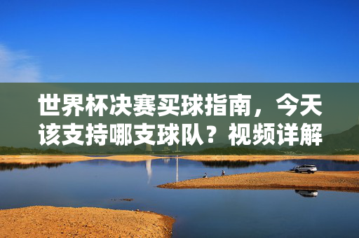 世界杯决赛买球指南,今天该支持哪支球队?视频详解助你精准选择!世界杯决赛买球指南,今天该支持哪支球队?视频详解助精准选择!