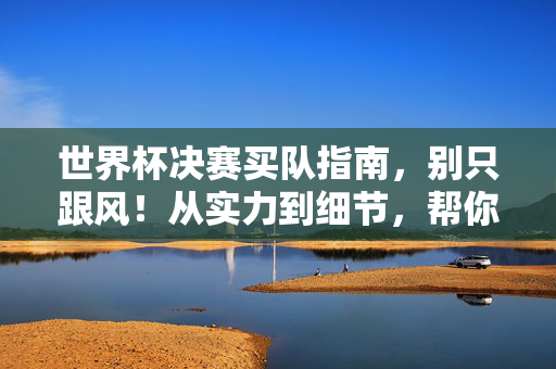 世界杯决赛买队指南,别只跟风!从实力到细节,帮你锁定潜力股,世界杯决赛买队潜力指南,实力细节挖潜力,拒绝盲目跟风