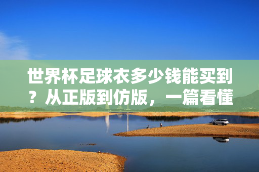 世界杯足球衣多少钱能买到？从正版到仿版，一篇看懂价格差异，世界杯足球衣价格，正版仿版差异全解析
