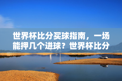 世界杯比分买球指南，一场能押几个进球？世界杯比分买球指南，一场能押几个进球