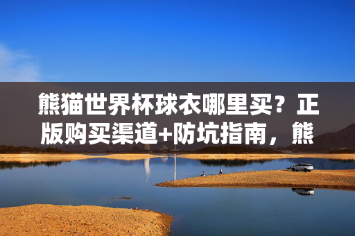 熊猫世界杯球衣哪里买？正版购买渠道+防坑指南，熊猫世界杯球衣，正版购买渠道与防坑指南