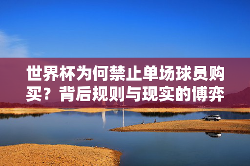 世界杯为何禁止单场球员购买？背后规则与现实的博弈，世界杯禁止单场球员购买，规则与现实的博弈