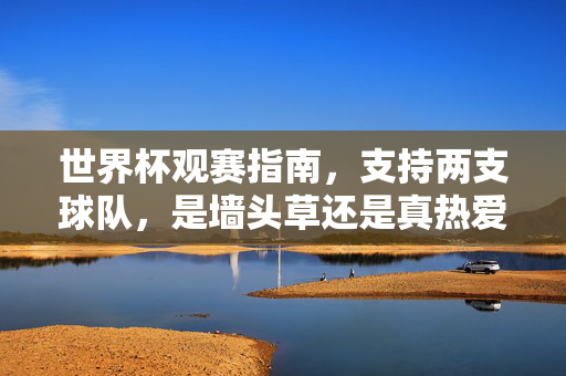 世界杯观赛指南，支持两支球队，是墙头草还是真热爱？世界杯观赛指南，支持两支球队，墙头草还是真热爱？