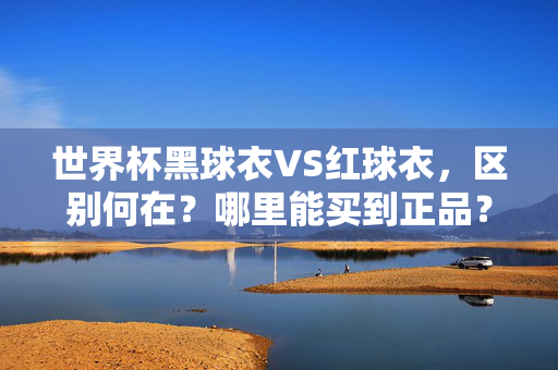 世界杯黑球衣VS红球衣,区别何在?哪里能买到正品?