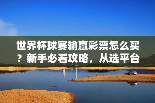 世界杯球赛输赢彩票怎么买?新手必看攻略,从选平台到投注技巧,一篇搞定