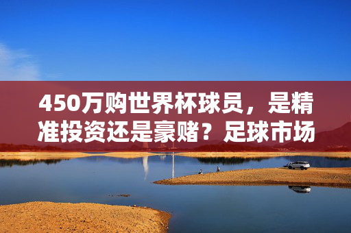 450万购世界杯球员,是精准投资还是豪赌?足球市场的世界杯溢价之谜,450万购世界杯球员,精准投资还是豪赌?世界杯溢价之谜