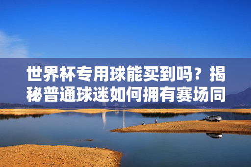 世界杯专用球能买到吗？揭秘普通球迷如何拥有赛场同款，揭秘普通球迷如何拥有世界杯专用球