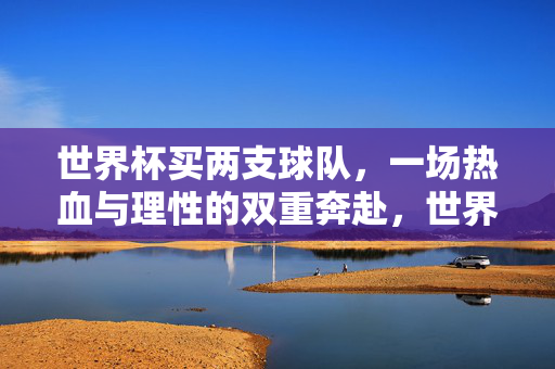 世界杯买两支球队,一场热血与理性的双重奔赴,世界杯双球队押注,热血与理性的双重奔赴
