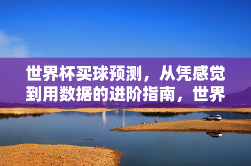 世界杯买球预测,从凭感觉到用数据的进阶指南,世界杯买球预测,凭感到数据的进阶指南