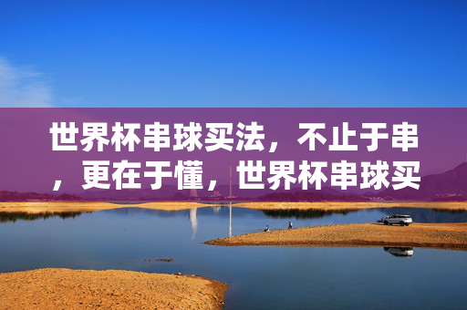 世界杯串球买法,不止于串,更在于懂,世界杯串球买法,不止于串,更在于懂