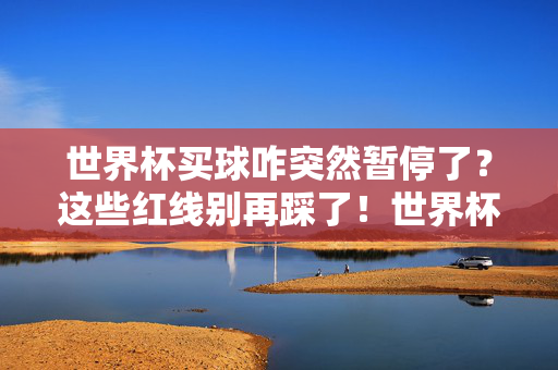 世界杯买球咋突然暂停了?这些红线别再踩了!世界杯买球暂停,这些红线别踩!
