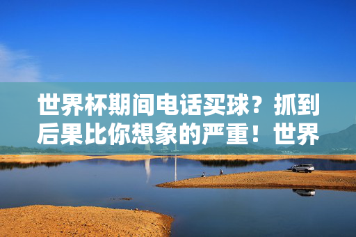 世界杯期间电话买球?抓到后果比你想象的严重!世界杯电话买球?后果比你想象的严重!