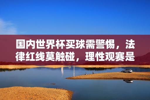 国内世界杯买球需警惕,法律红线莫触碰,理性观赛是正道,世界杯买球警惕法律红线,理性观赛方为正道