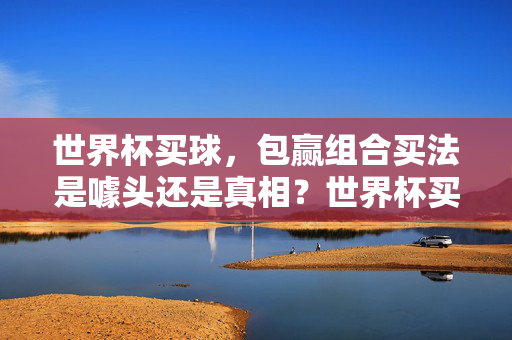 世界杯买球,包赢组合买法是噱头还是真相?世界杯买球包赢组合是噱头还是真相?
