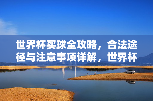 世界杯买球全攻略,合法途径与注意事项详解,世界杯买球全攻略,合法途径与注意事项详解