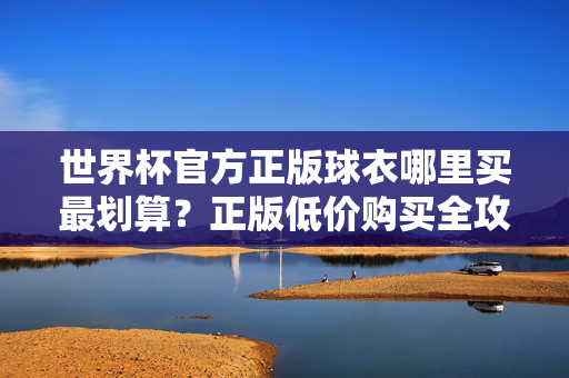 世界杯官方正版球衣哪里买最划算？正版低价购买全攻略，世界杯官方正版球衣低价购买全攻略