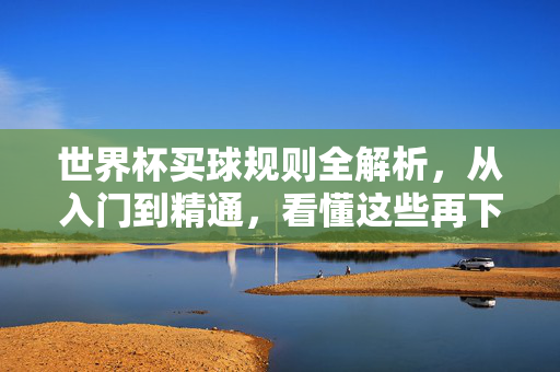世界杯买球规则全解析，从入门到精通，看懂这些再下注，世界杯买球规则全解析，从入门到精通，看懂这些再下注