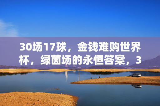 30场17球，金钱难购世界杯，绿茵场的永恒答案，30场17球，金钱难购的绿茵永恒答案