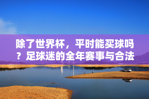 除了世界杯，平时能买球吗？足球迷的全年赛事与合法投注指南，足球迷全年赛事合法投注指南，除了世界杯，平时这样买球