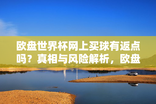 欧盘世界杯网上买球有返点吗?真相与风险解析,欧盘世界杯网上买球返点,真相与风险解析