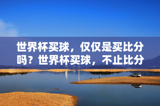 世界杯买球，仅仅是买比分吗？世界杯买球，不止比分？